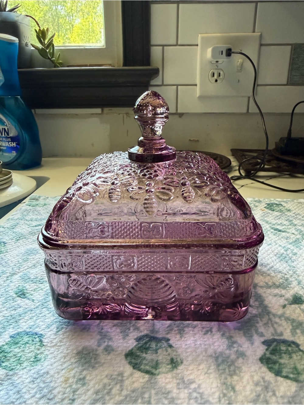 Tiara Indiana Glass Honey Bee Box in Amethyst